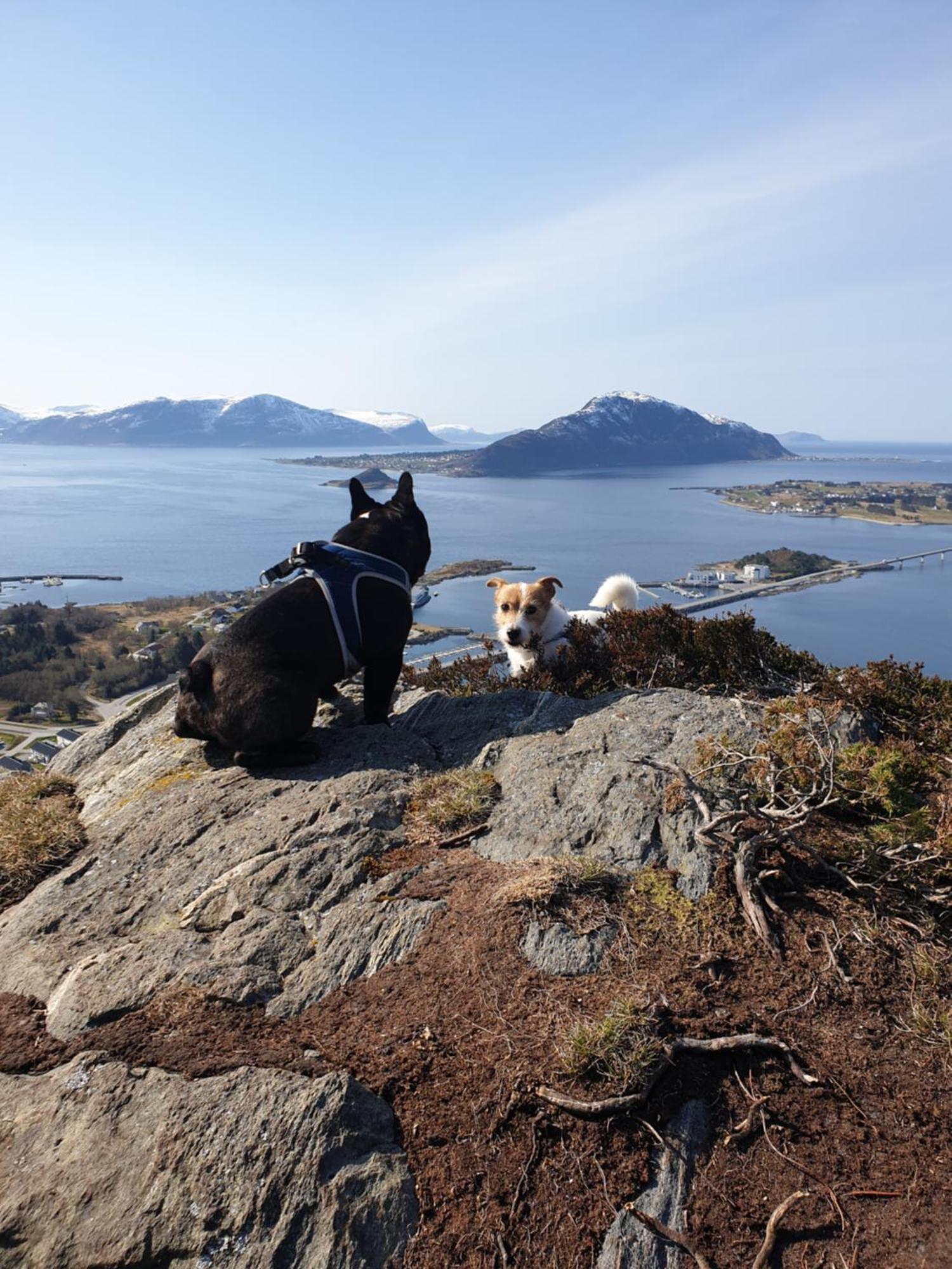 Leilighet Naer Flyplass Og Alesund Sentrum Ytterland 外观 照片